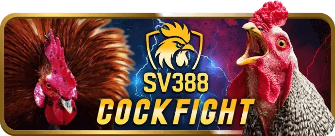 Khuyến mãi thưởng chào mừng cho người chơi mới tại w69 win